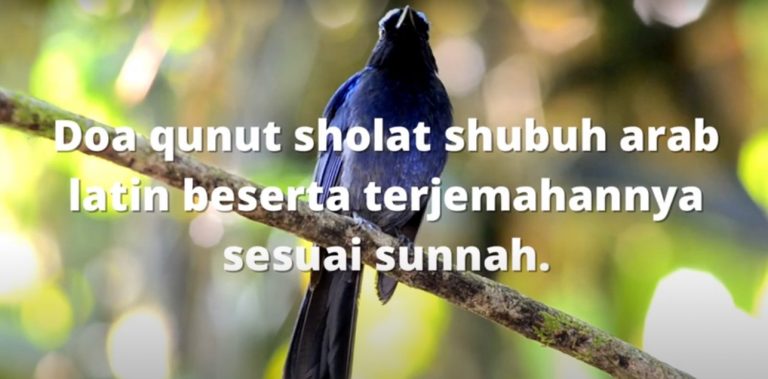 doa qunut sholat shubuh arab latin beserta terjemahannya sesuai sunnah