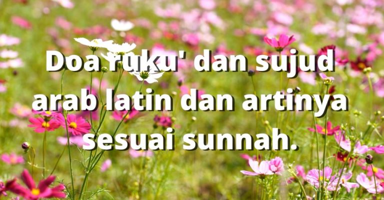 Doa ruku' dan sujud arab latin dan artinya sesuai sunnah