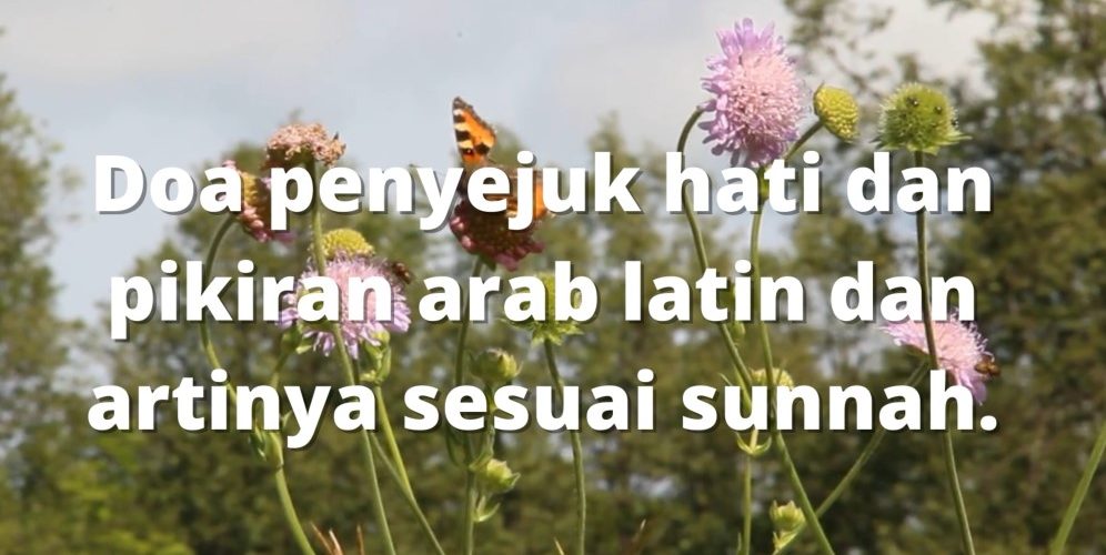 doa penyejuk hati dan pikiran arab latin dan artinya sesuai sunnah