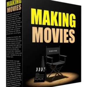 Making Movies : Insights into Feature Film Budgeting and Production
